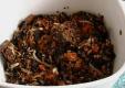How To Make 3 Methods To Make Stuffed Karelas & Turiya Patra